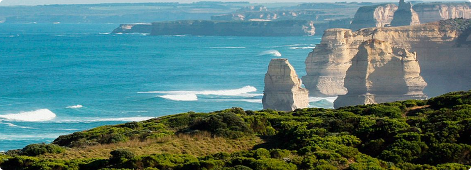 D365 – 添加按钮组（按钮列表）