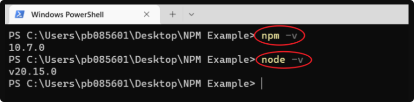 检查当前环境是否安装nodejs