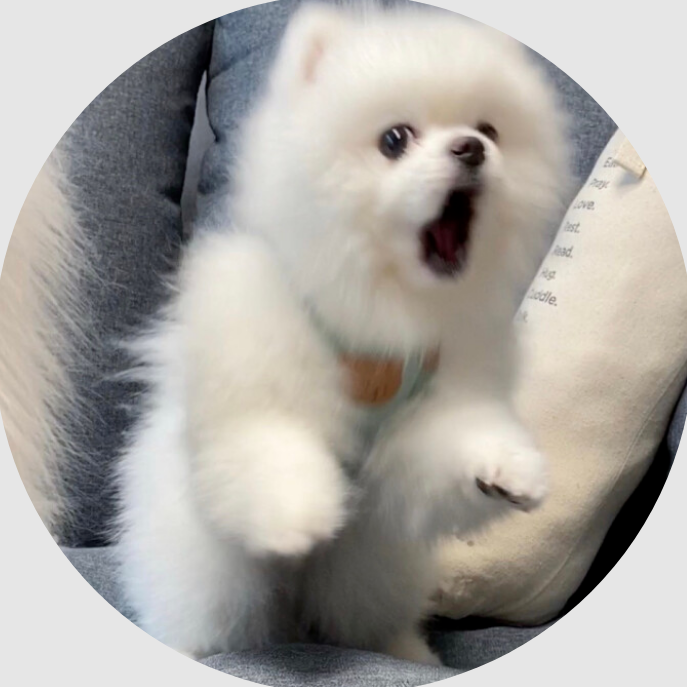 619's BLOG