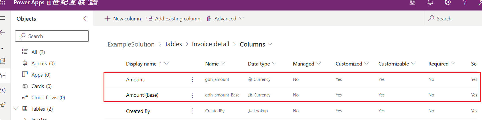 Invoice Detail 实体新添的 Amount 货币字段