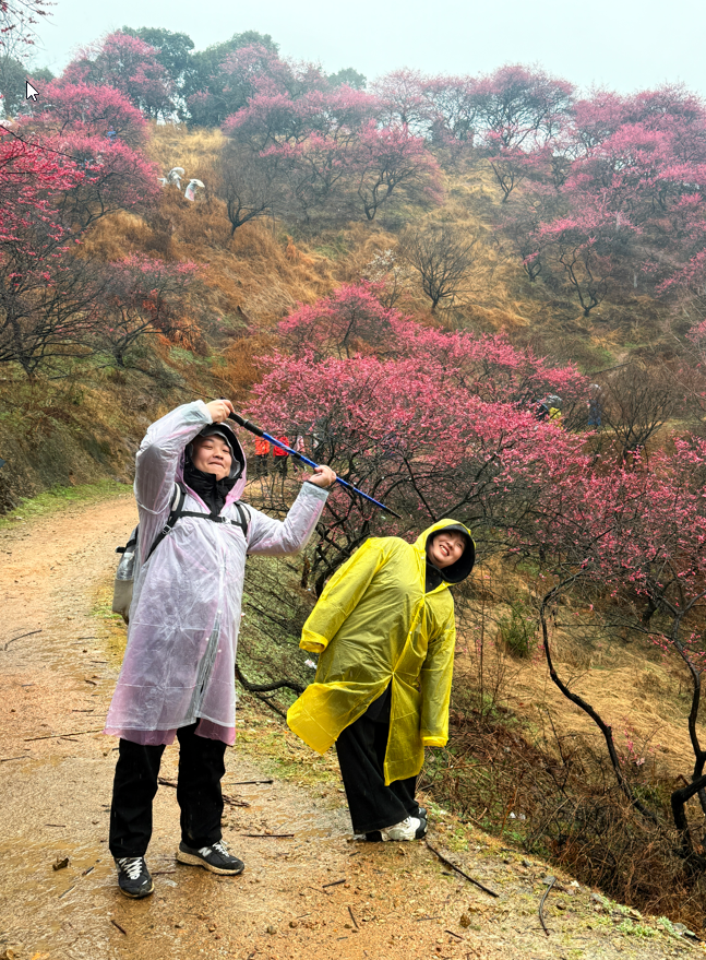 缓慢爬山