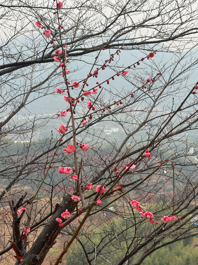 缓慢爬山